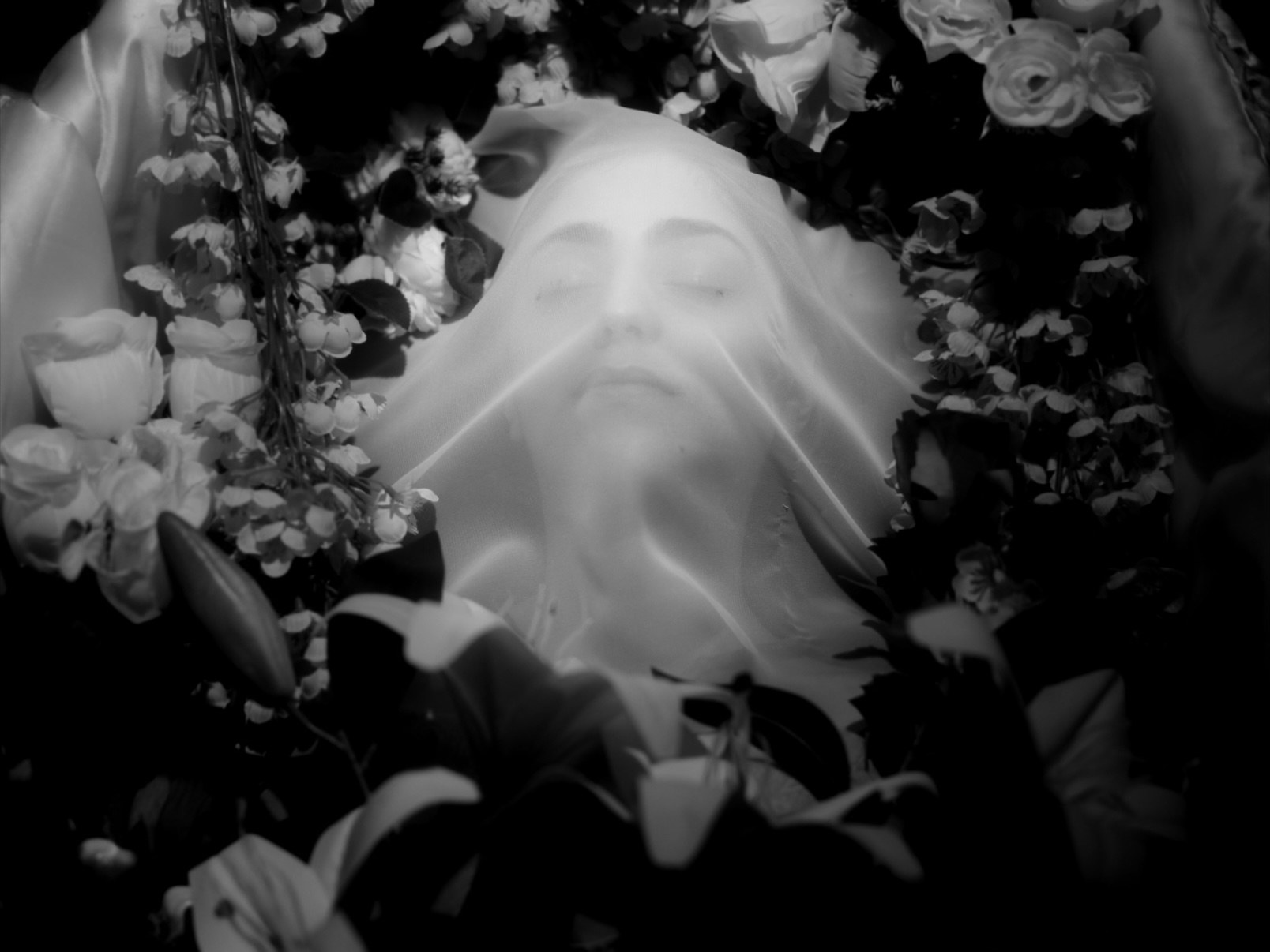 Catalina — imagen 4
